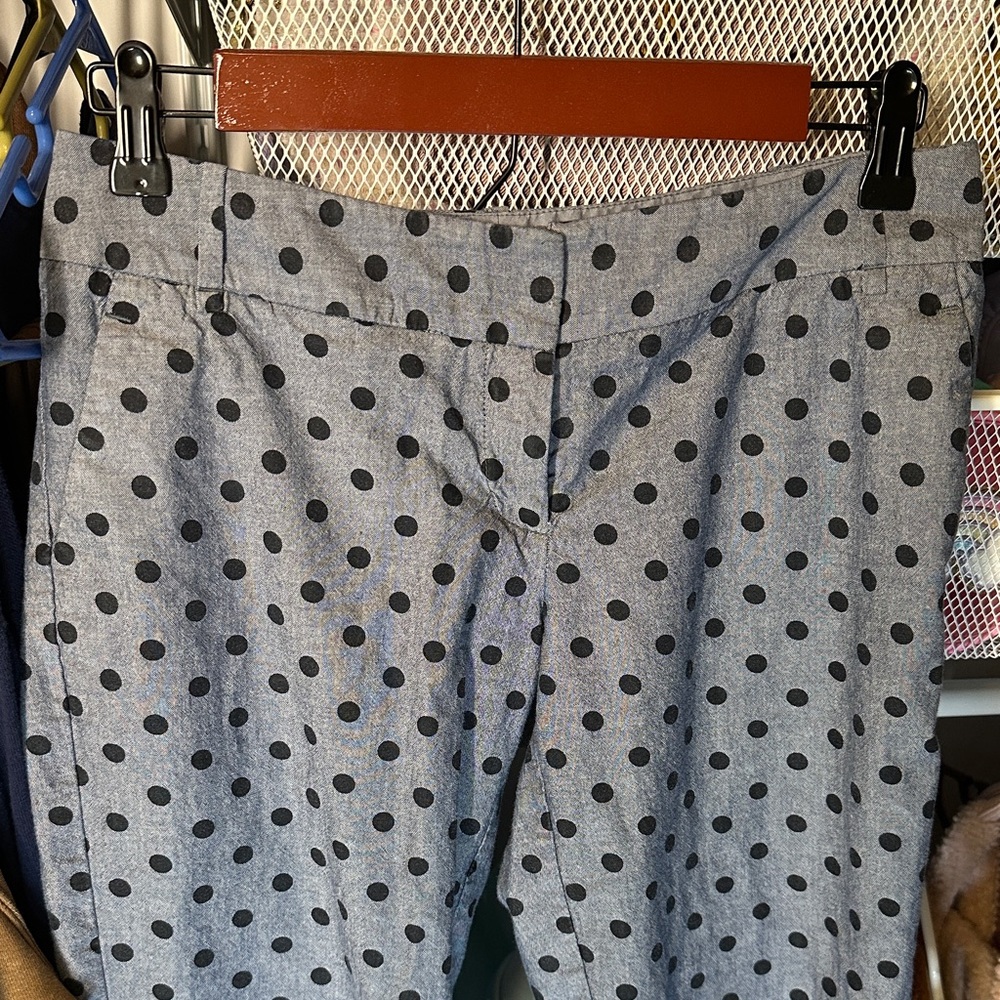 Blue-ish Gray Lightweight Polka Dot Pants